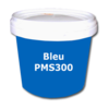 Bleu PMS 300 
