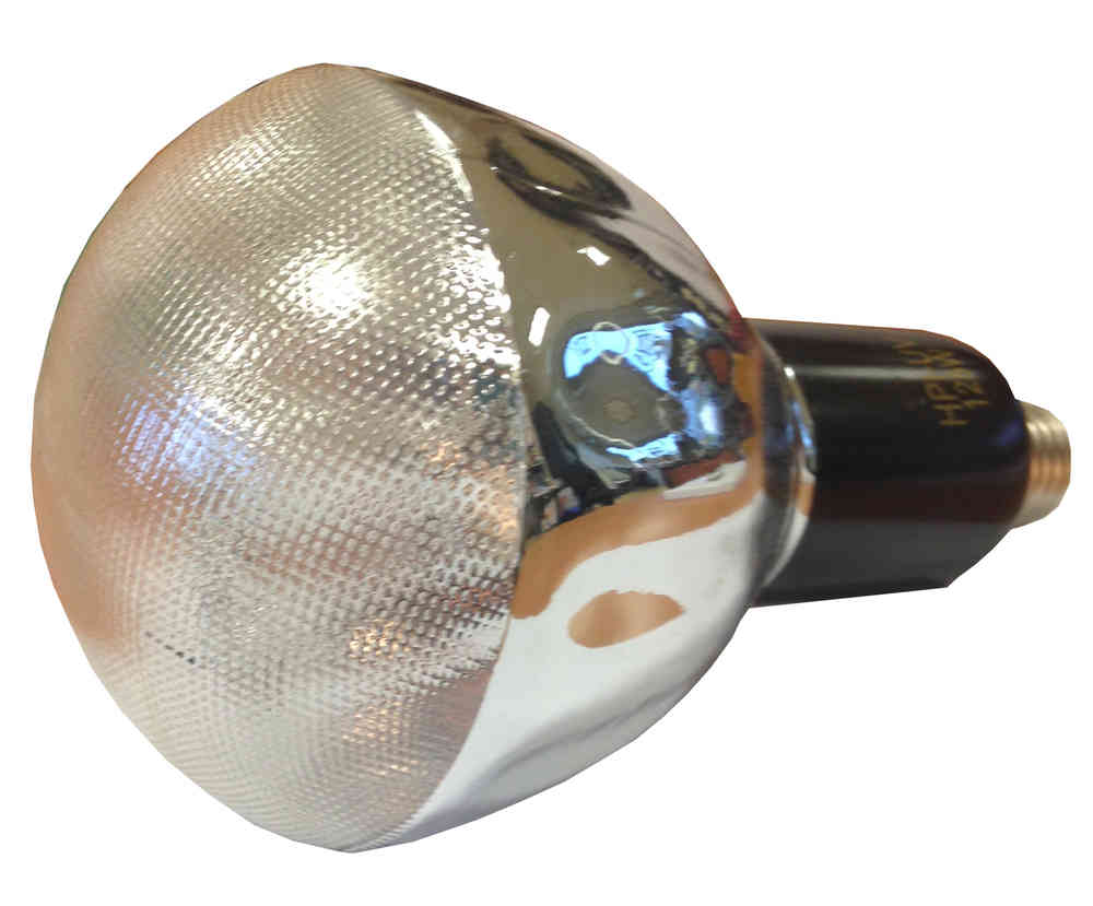 Light Bulb HPR