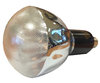 Light Bulb HPR