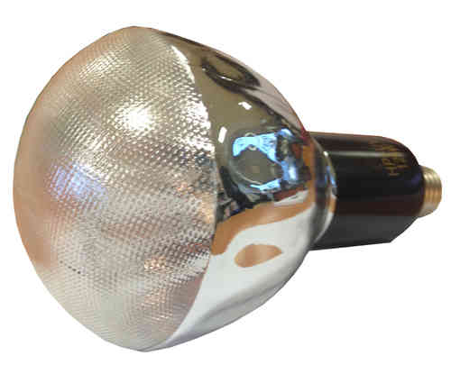 Light Bulb HPR