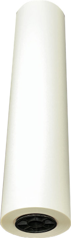 Film DTF D-LUX PRO Rouleau