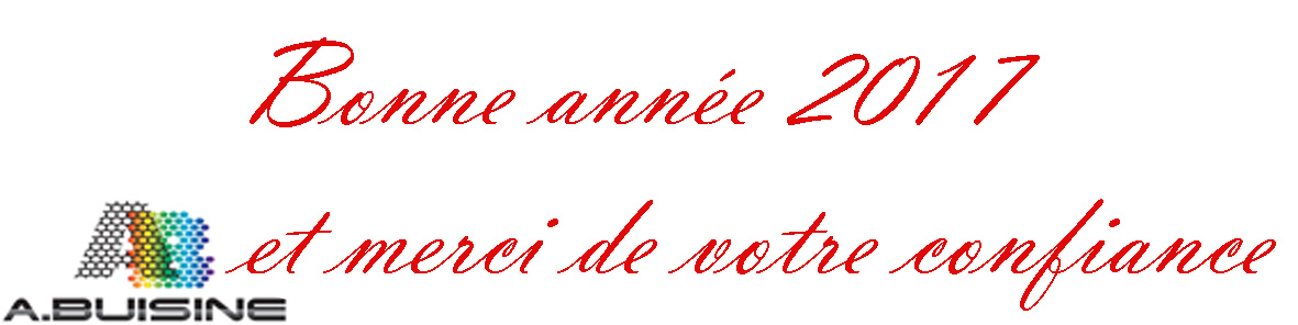 bonne-annee-2017